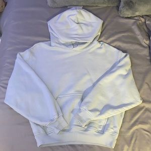 Aritzia Hoodie